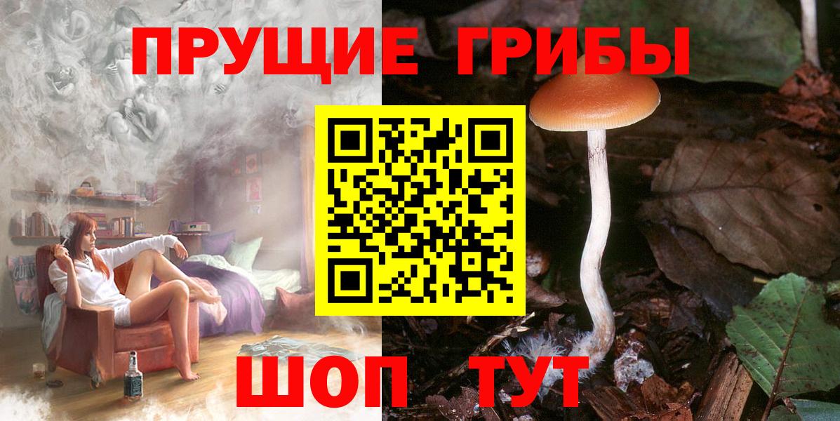 Галлюциногенные грибы ЛСД  Вход с VPN  Краснодар  Галлюциногенные грибы ЛСД 