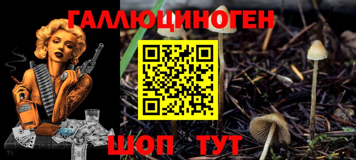 Псилоцибиновые грибы прущие грибы Краснодар